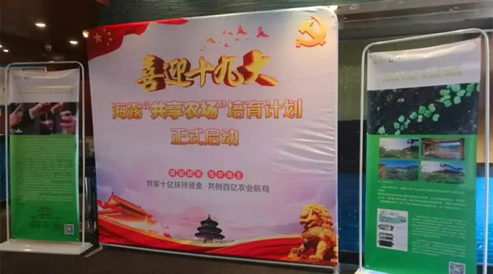 1-1G12323562J38 南宫电竞-不凡成就非凡,相信品牌的力量