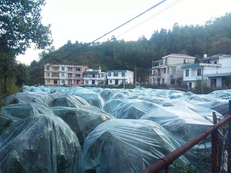 南宫电竞-不凡成就非凡,相信品牌的力量