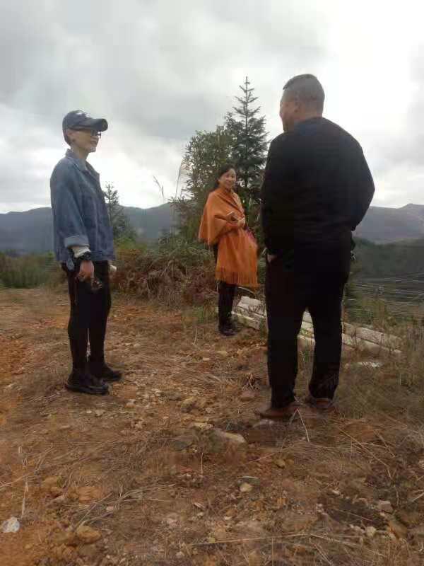 南宫电竞-不凡成就非凡,相信品牌的力量
