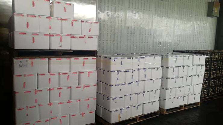 南宫电竞-不凡成就非凡,相信品牌的力量