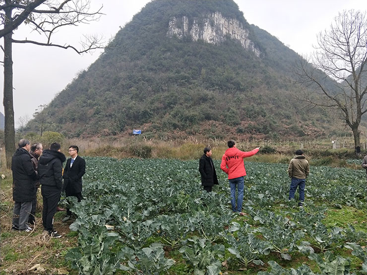 南宫电竞-不凡成就非凡,相信品牌的力量
