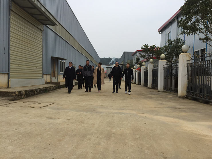南宫电竞-不凡成就非凡,相信品牌的力量