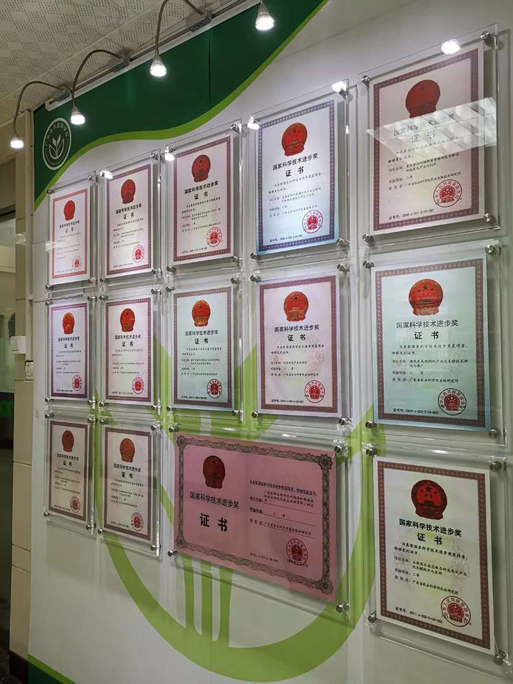 南宫电竞-不凡成就非凡,相信品牌的力量