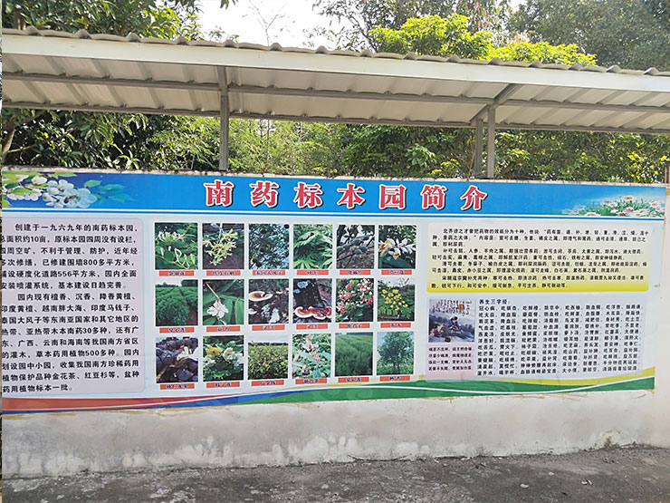 南宫电竞-不凡成就非凡,相信品牌的力量