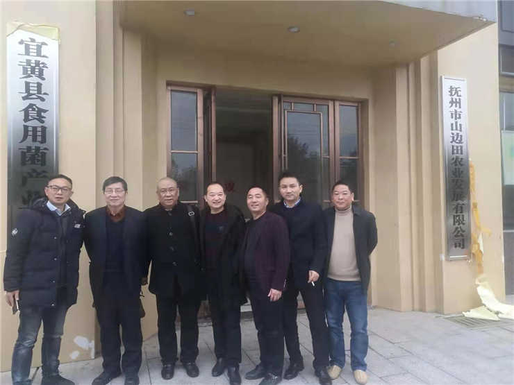 南宫电竞-不凡成就非凡,相信品牌的力量