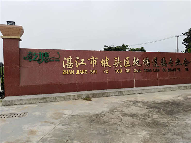南宫电竞-不凡成就非凡,相信品牌的力量