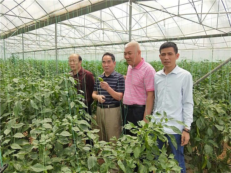 南宫电竞-不凡成就非凡,相信品牌的力量