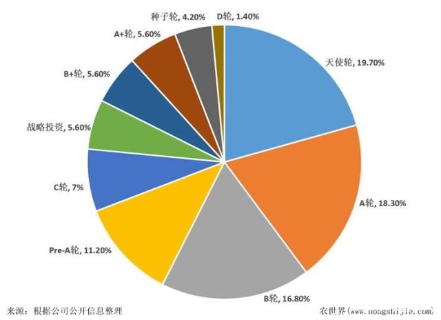 南宫电竞-不凡成就非凡,相信品牌的力量