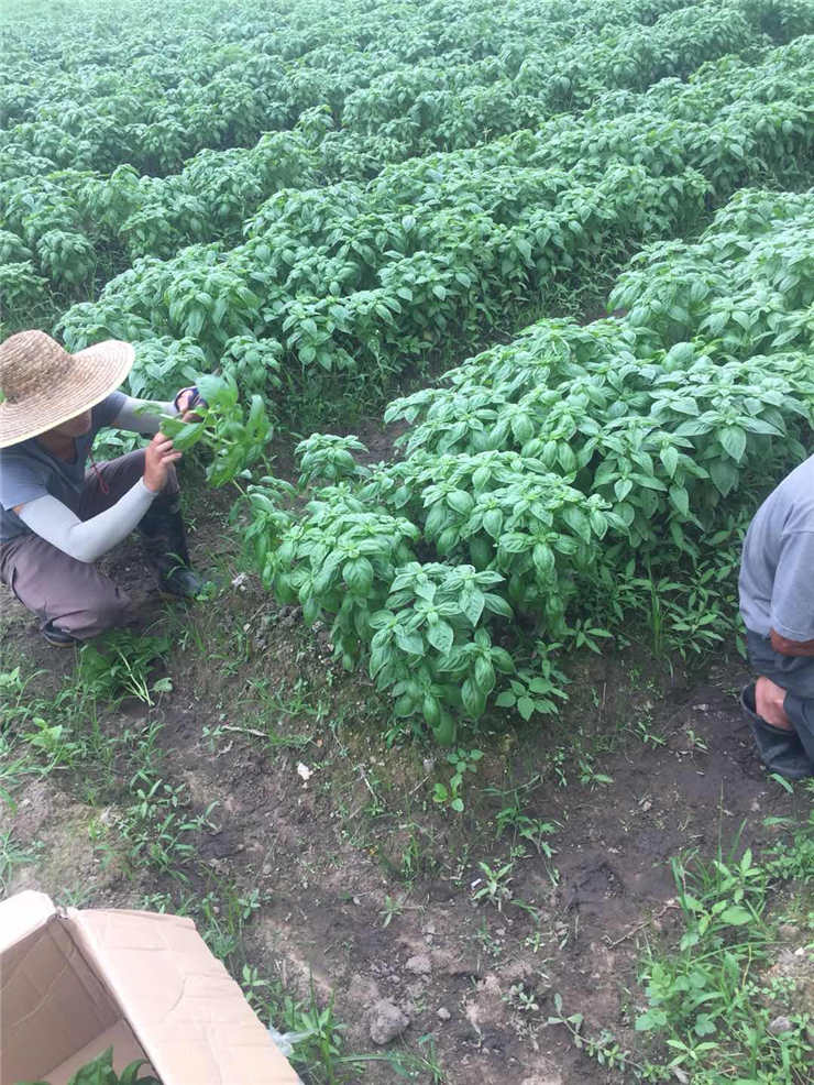 南宫电竞-不凡成就非凡,相信品牌的力量