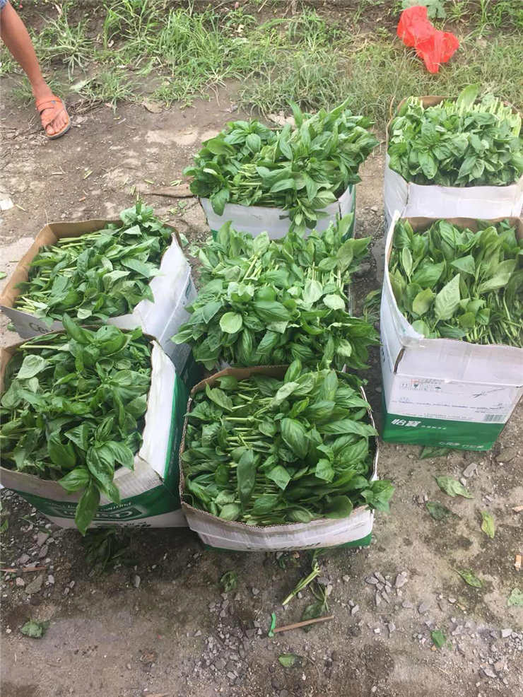 南宫电竞-不凡成就非凡,相信品牌的力量