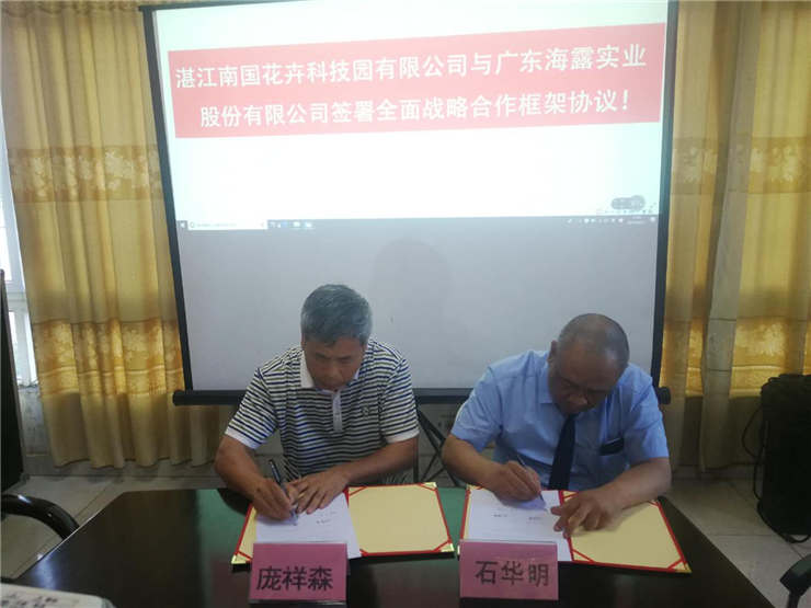 南宫电竞-不凡成就非凡,相信品牌的力量