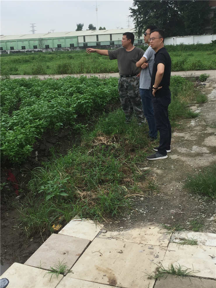南宫电竞-不凡成就非凡,相信品牌的力量