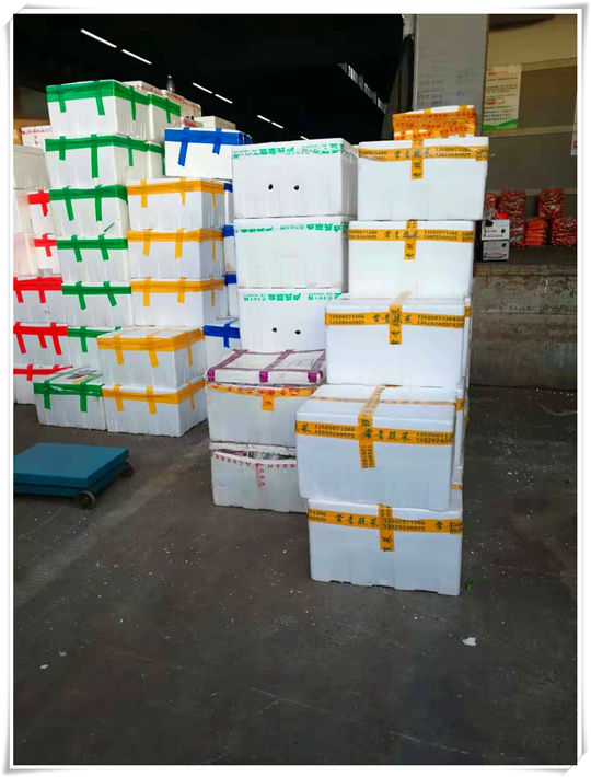 南宫电竞-不凡成就非凡,相信品牌的力量