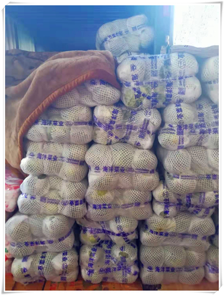 南宫电竞-不凡成就非凡,相信品牌的力量