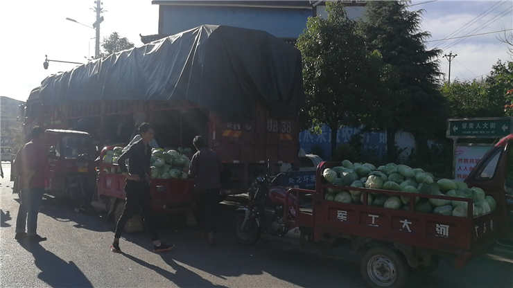 南宫电竞-不凡成就非凡,相信品牌的力量