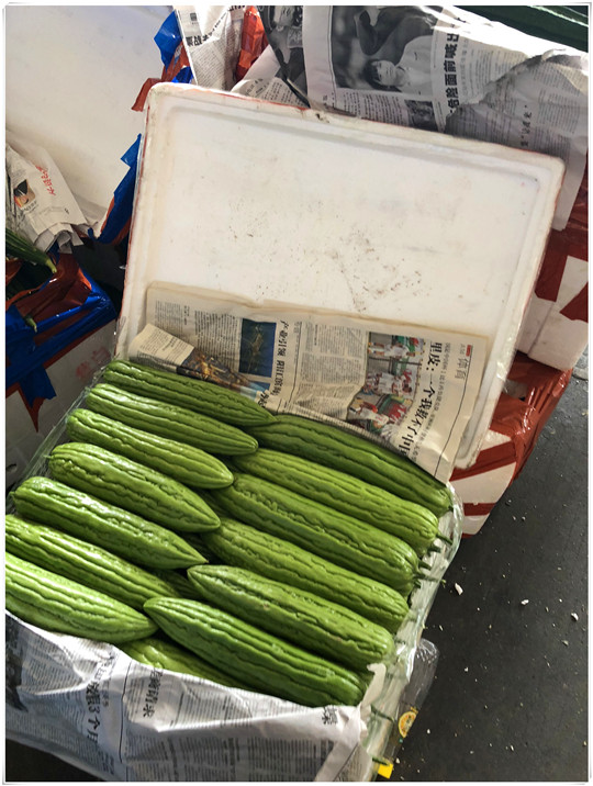南宫电竞-不凡成就非凡,相信品牌的力量