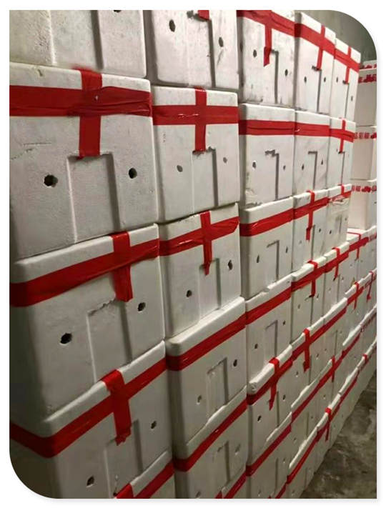 南宫电竞-不凡成就非凡,相信品牌的力量