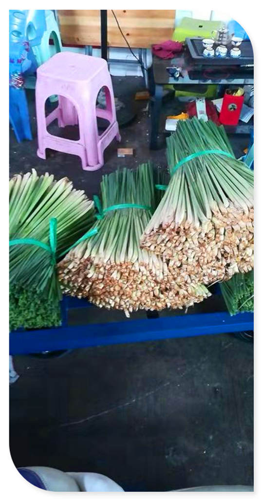 南宫电竞-不凡成就非凡,相信品牌的力量