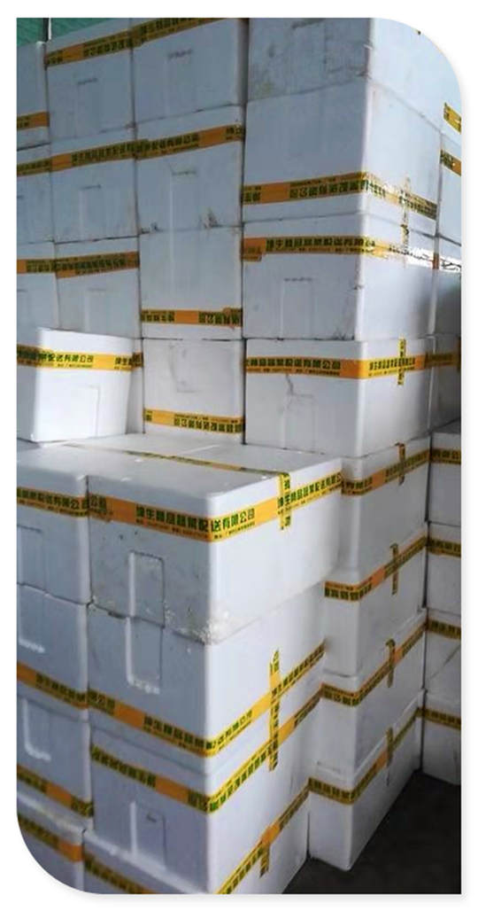 南宫电竞-不凡成就非凡,相信品牌的力量