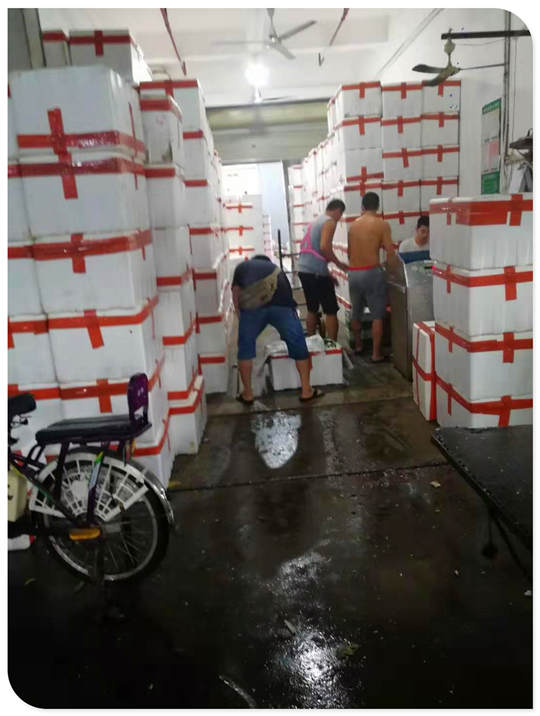 南宫电竞-不凡成就非凡,相信品牌的力量
