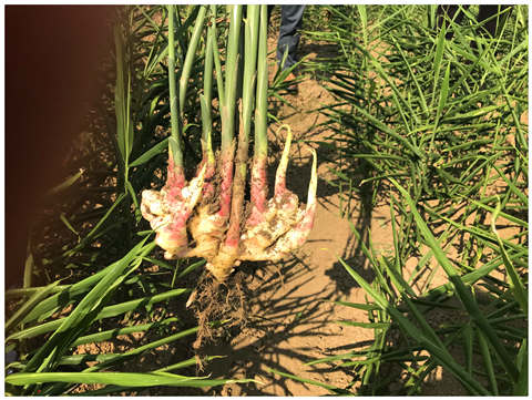 南宫电竞-不凡成就非凡,相信品牌的力量