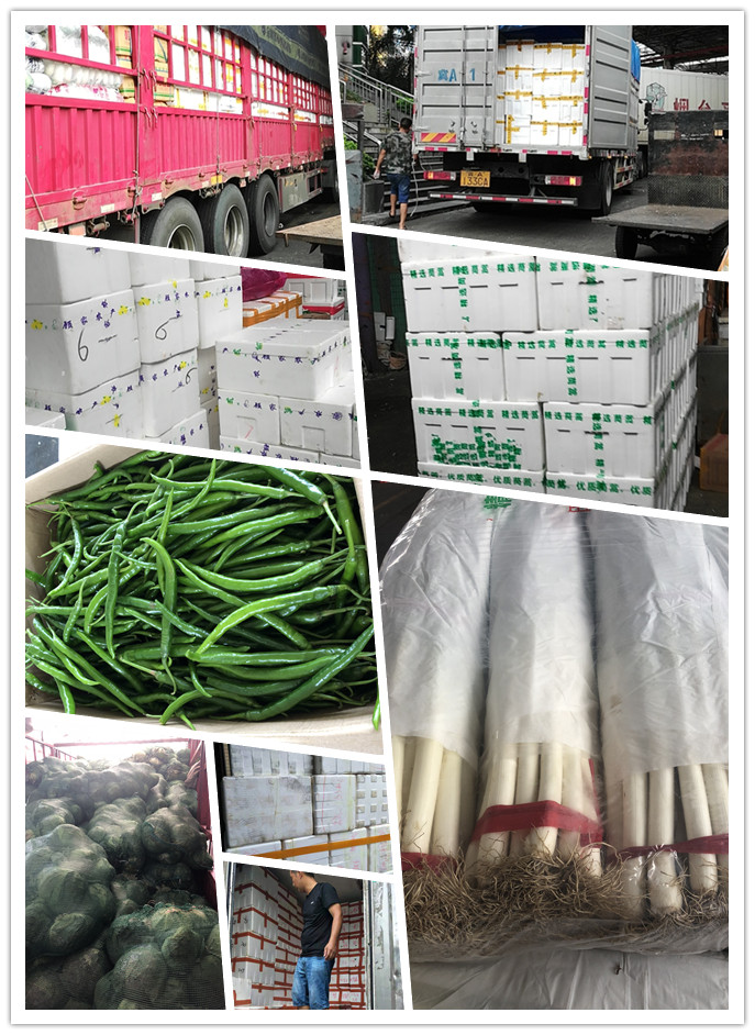 南宫电竞-不凡成就非凡,相信品牌的力量