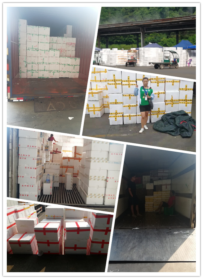 南宫电竞-不凡成就非凡,相信品牌的力量