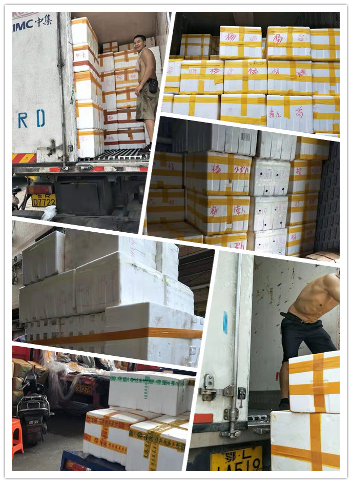 南宫电竞-不凡成就非凡,相信品牌的力量