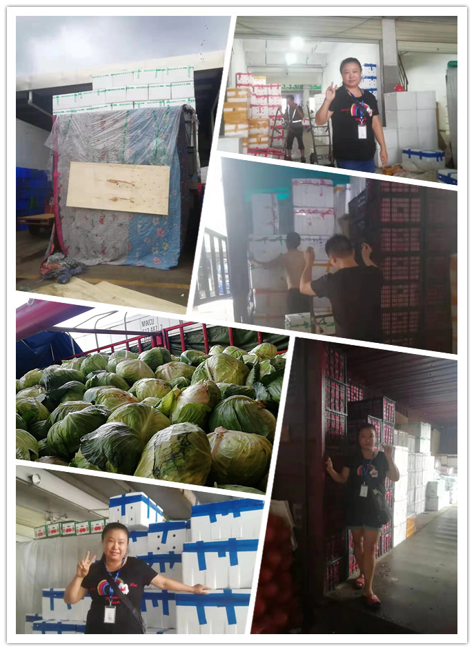 南宫电竞-不凡成就非凡,相信品牌的力量