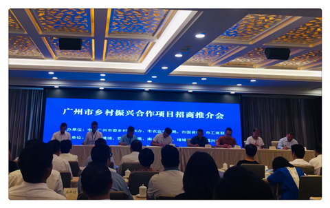 南宫电竞-不凡成就非凡,相信品牌的力量