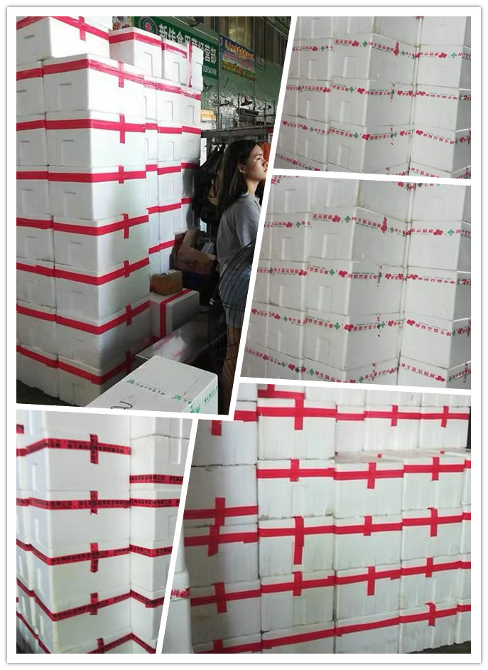 南宫电竞-不凡成就非凡,相信品牌的力量