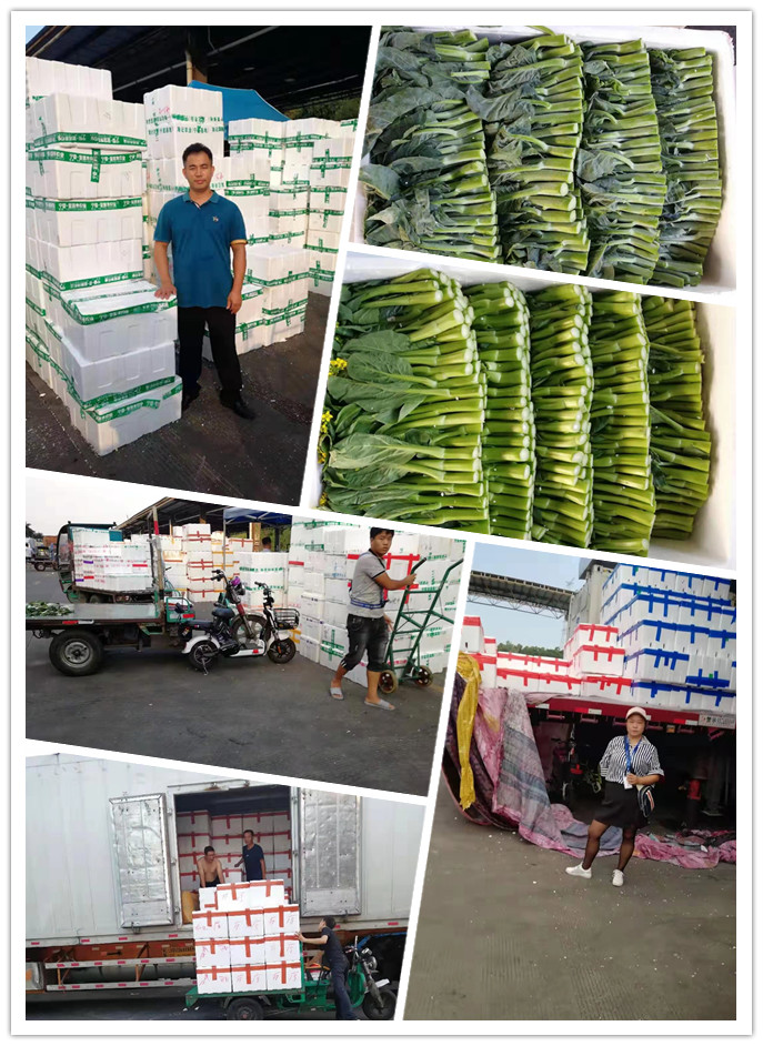 南宫电竞-不凡成就非凡,相信品牌的力量