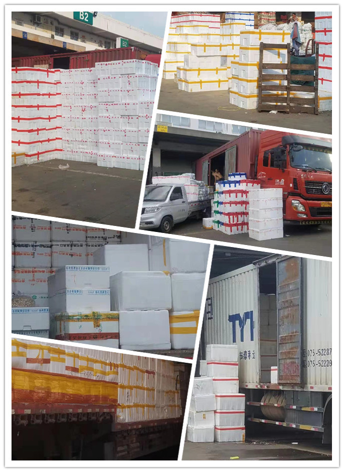 南宫电竞-不凡成就非凡,相信品牌的力量