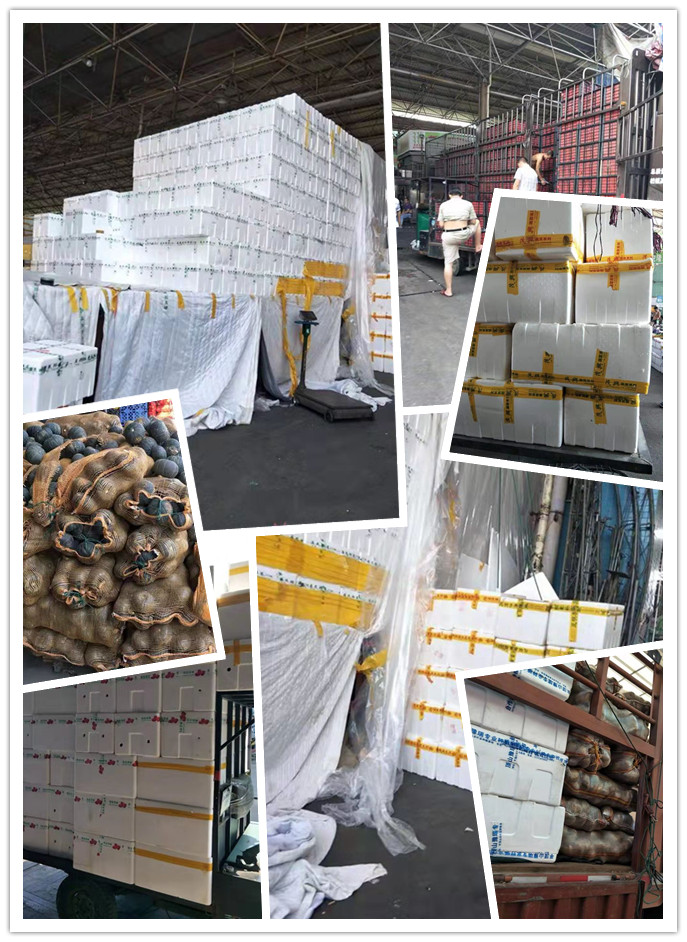 南宫电竞-不凡成就非凡,相信品牌的力量