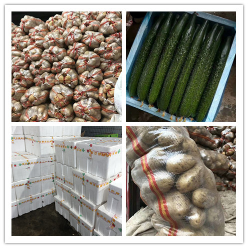 南宫电竞-不凡成就非凡,相信品牌的力量