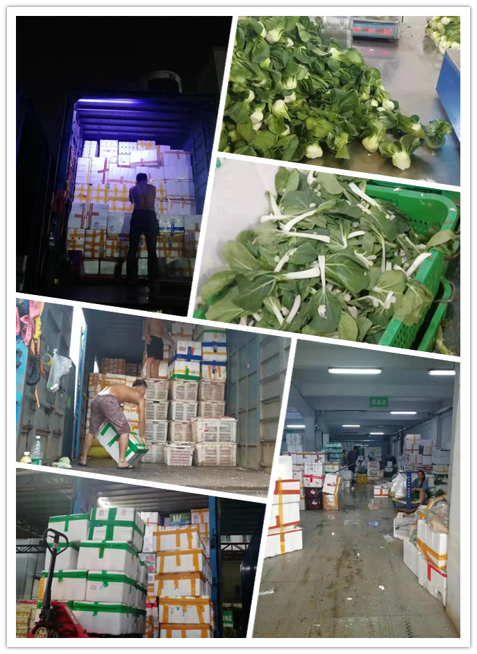 南宫电竞-不凡成就非凡,相信品牌的力量