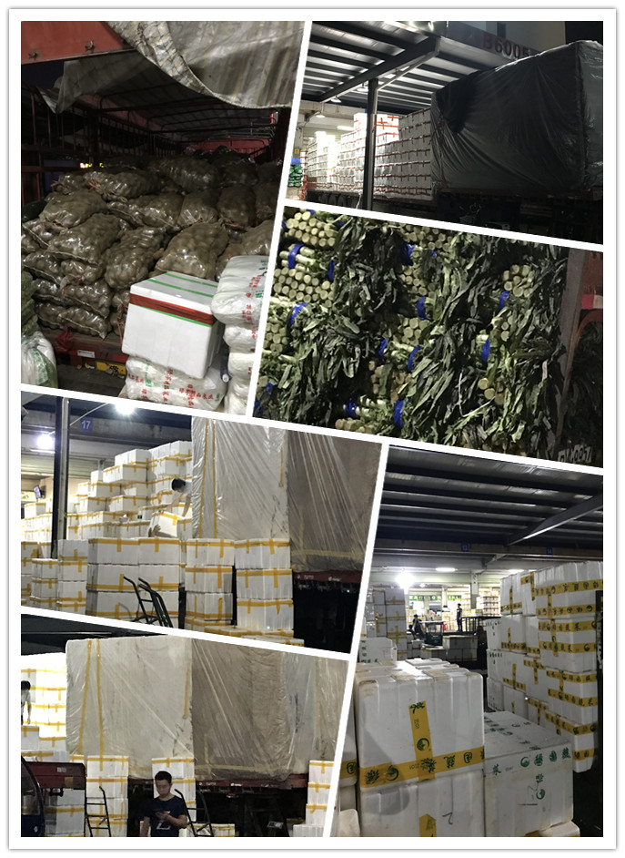 南宫电竞-不凡成就非凡,相信品牌的力量
