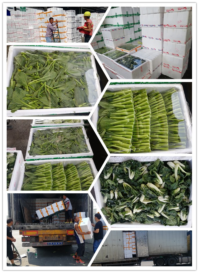南宫电竞-不凡成就非凡,相信品牌的力量
