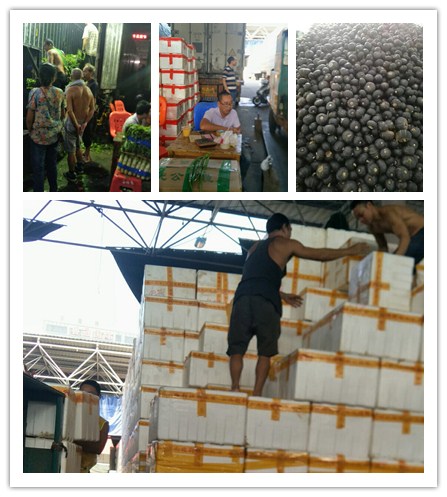 南宫电竞-不凡成就非凡,相信品牌的力量