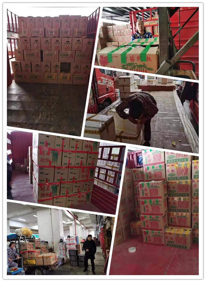 南宫电竞-不凡成就非凡,相信品牌的力量