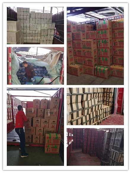 南宫电竞-不凡成就非凡,相信品牌的力量