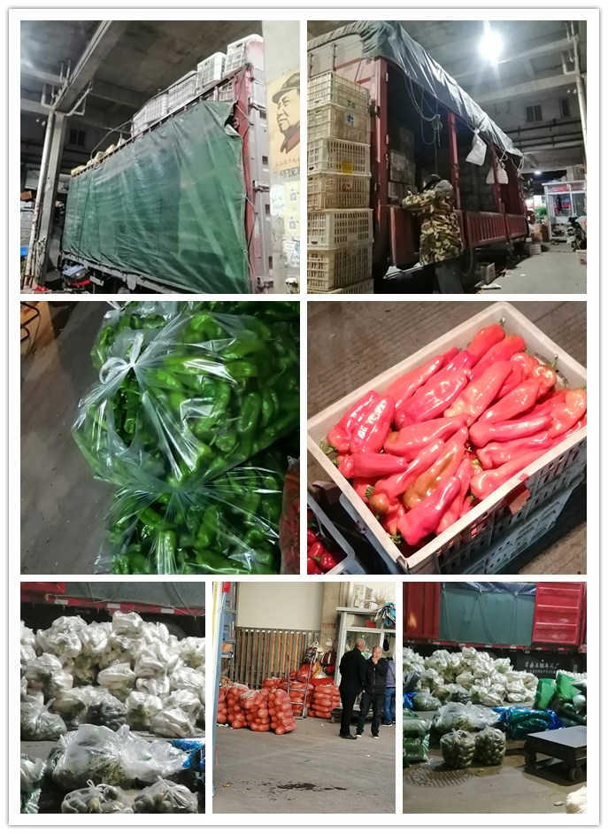 南宫电竞-不凡成就非凡,相信品牌的力量