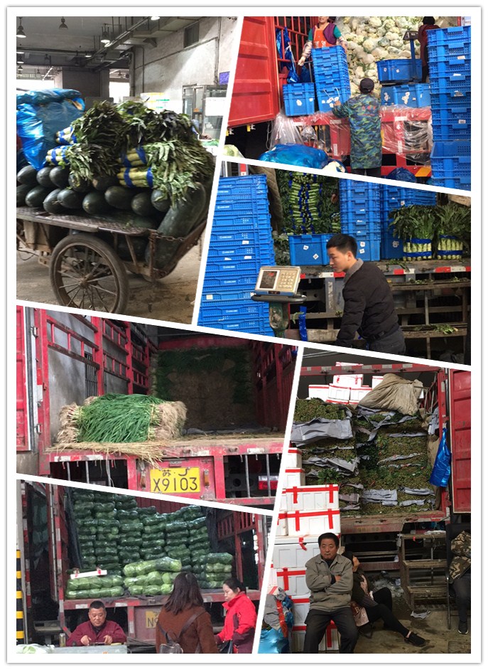 南宫电竞-不凡成就非凡,相信品牌的力量