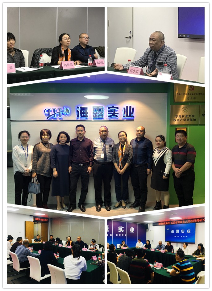 南宫电竞-不凡成就非凡,相信品牌的力量