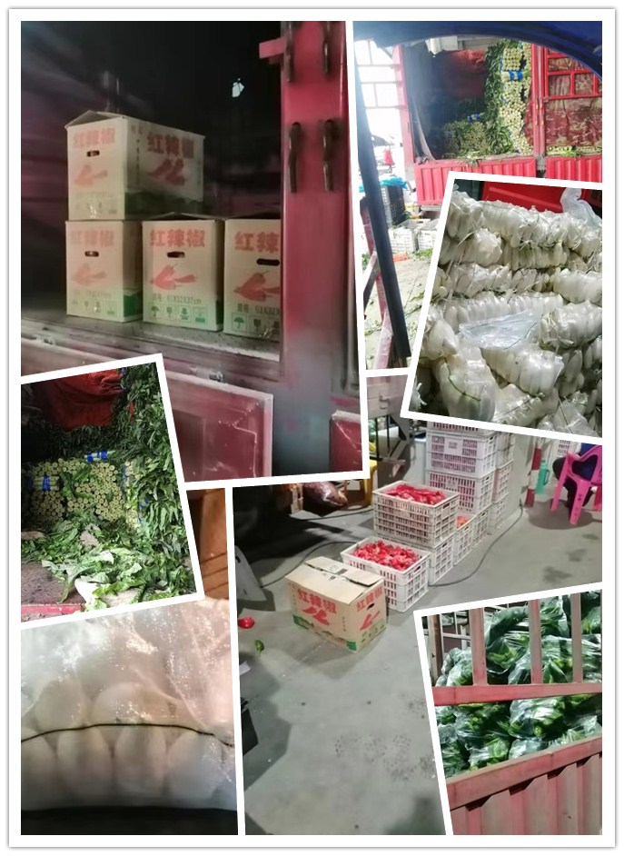 南宫电竞-不凡成就非凡,相信品牌的力量