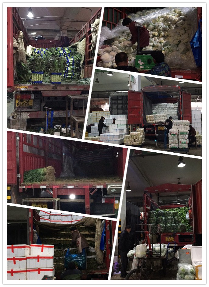 南宫电竞-不凡成就非凡,相信品牌的力量
