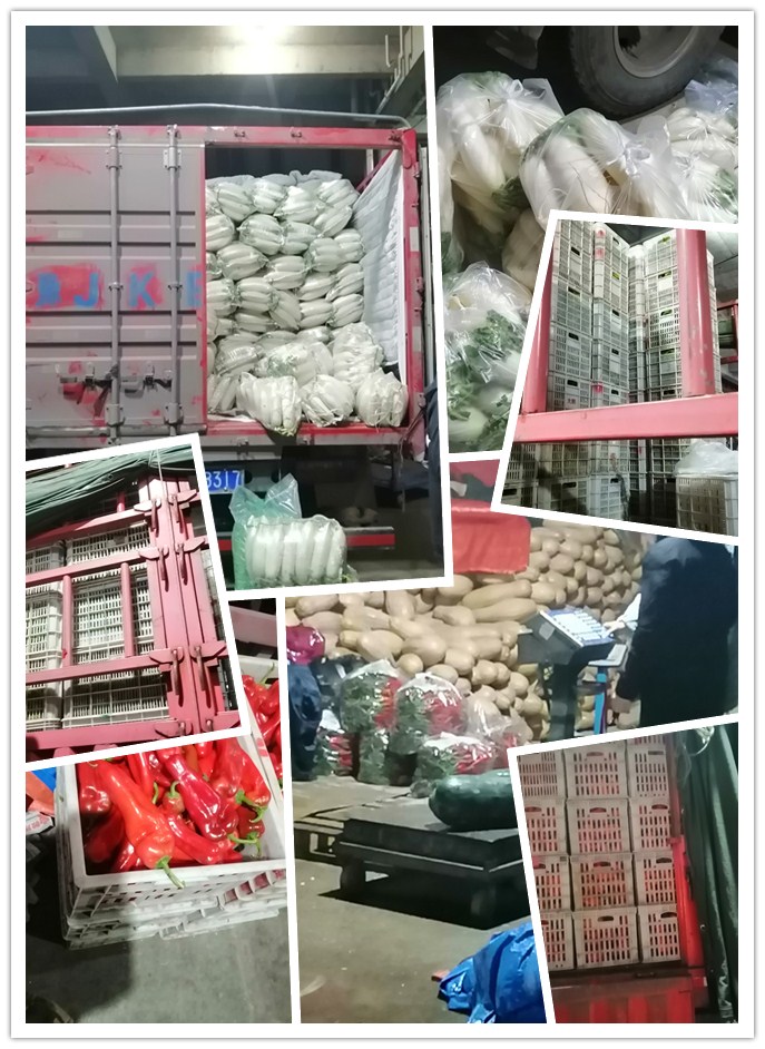 南宫电竞-不凡成就非凡,相信品牌的力量