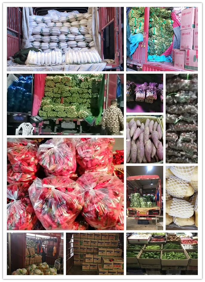 南宫电竞-不凡成就非凡,相信品牌的力量