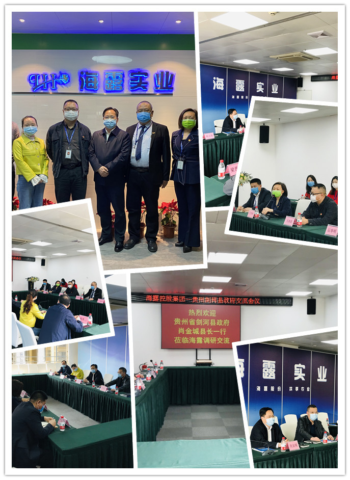 南宫电竞-不凡成就非凡,相信品牌的力量