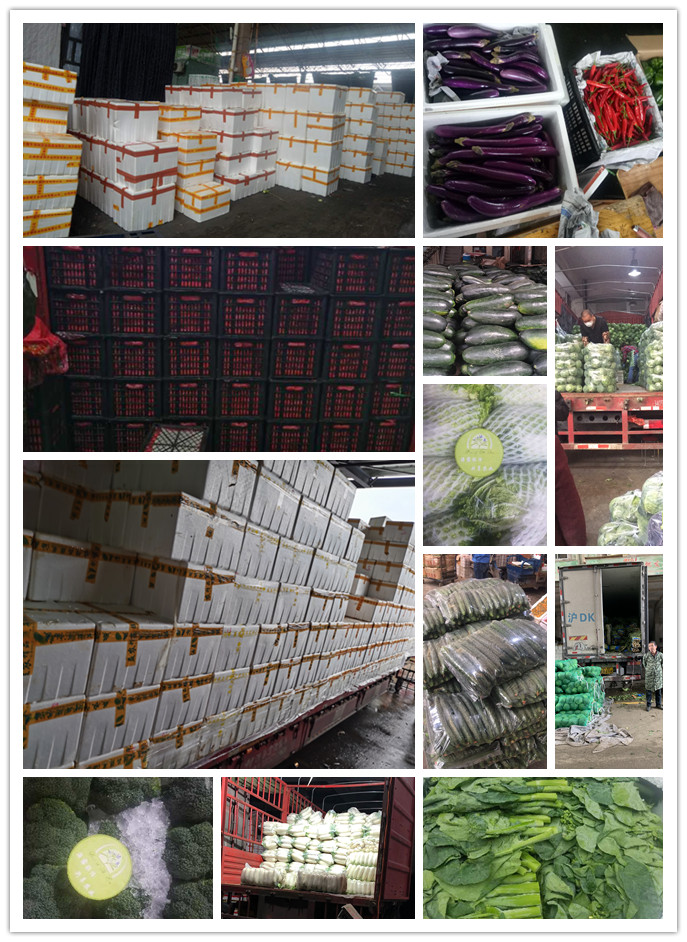 南宫电竞-不凡成就非凡,相信品牌的力量
